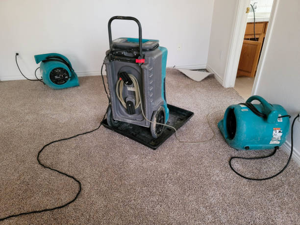 Best Water damage contractors near me  in Browns Point, WA