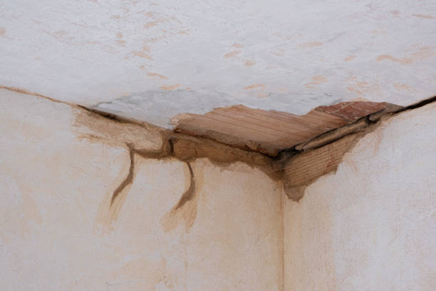  Browns Point, WA Water damage restoration Pros