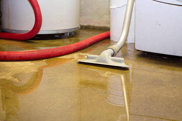 Best Ceiling water damage repair  in Browns Point, WA