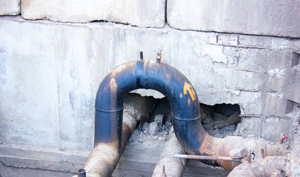 Best Water damage cleanup near me  in Browns Point, WA