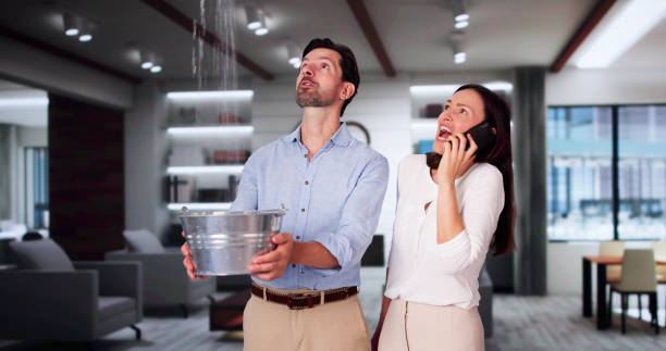 Trusted Browns Point, WA Water damage restoration Experts